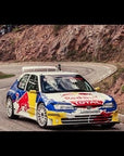 Limited Edition: 306 Sébastien Loeb Racing Kit (TC076)