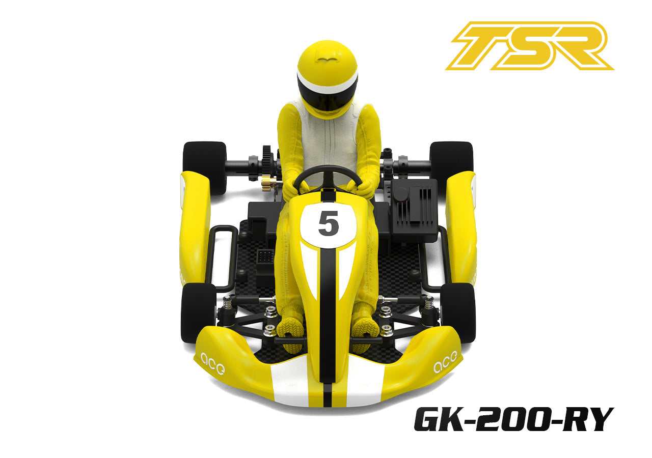 Team Saxo Racing GK-200 - Go-Kart - 1:8 2WD Kart Kit - with ESC, Motor and Servo RED, BLUE, BLACK, YELLOW