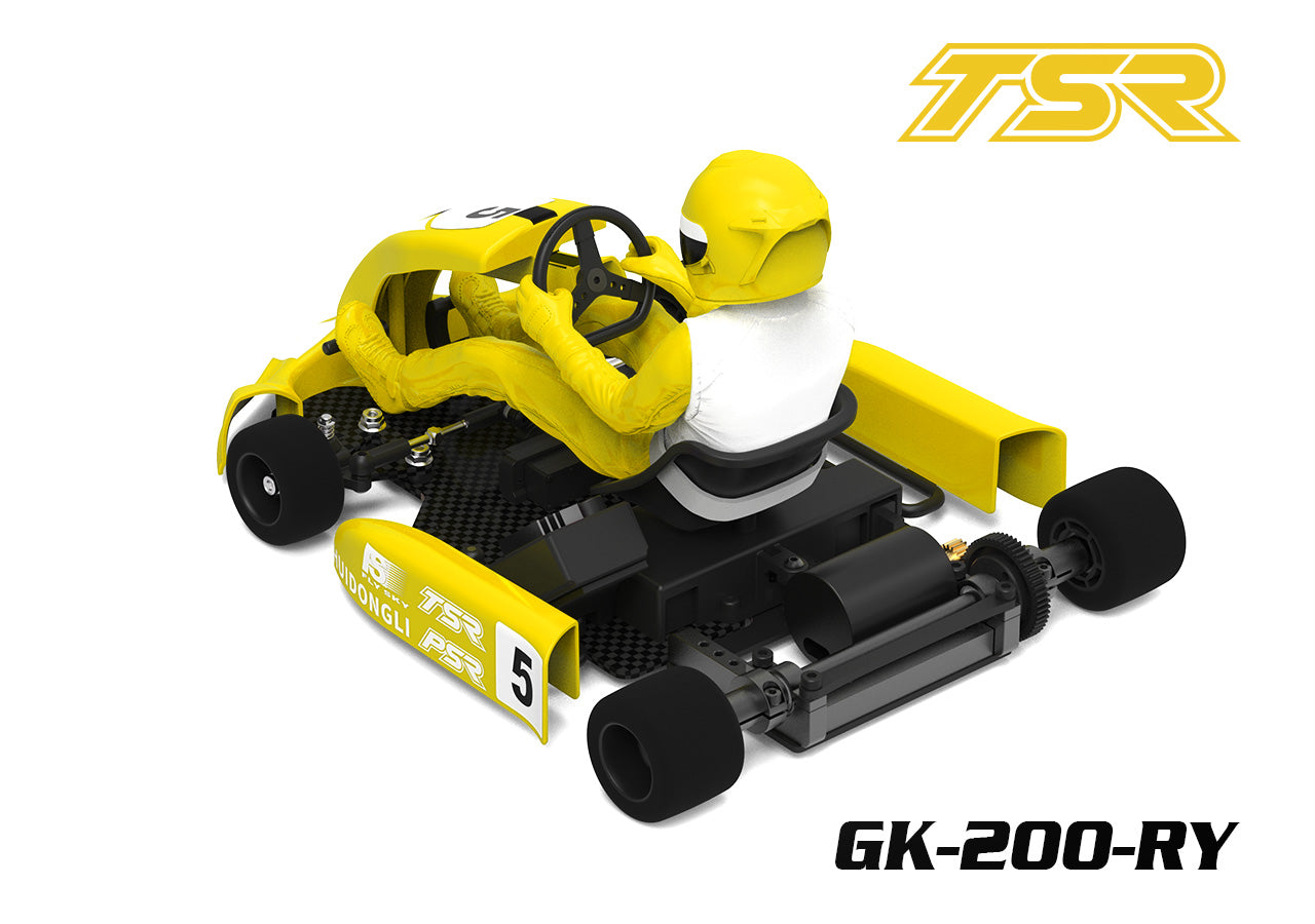 Team Saxo Racing GK-200 - Go-Kart - 1:8 2WD Kart Kit - with ESC, Motor and Servo RED, BLUE, BLACK, YELLOW